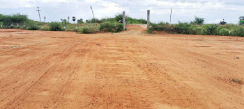 Agricultural/Farm Land for Sale in Thathankulam, Thoothukudi (480 Acre)
