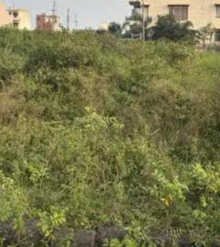 Residential Plot for Sale in Thoraipakkam, Chennai (1245 Sq.ft.)