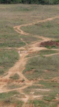 24 Acre Commercial Lands /Inst. Land for Sale in Achettipalli, Hosur