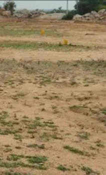 Residential Plot for Sale in Maraimalai Nagar, Chennai (1556 Sq.ft.)