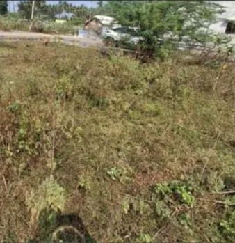 Residential Plot for Sale in Mylapore, Chennai (5905 Sq.ft.)