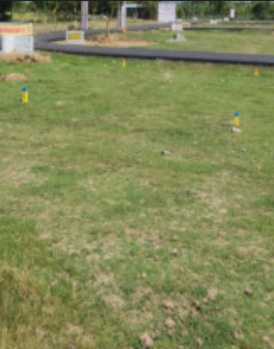 Residential Plot for Sale in Kolathur, Chennai (16800 Sq.ft.)