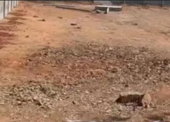 4.5 Acre Commercial Lands /Inst. Land for Sale in Kelambakkam, Chennai