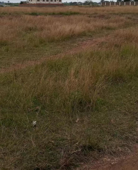 3.25 Acre Commercial Lands /Inst. Land for Sale in Vellimalai, Kanyakumari