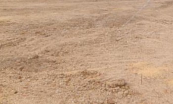 11.58 Acre Commercial Lands /Inst. Land for Sale in Ambattur, Chennai