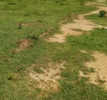 Residential Plot for Sale in Mogappair, Chennai (3.5 Acre)