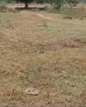 Commercial Lands /Inst. Land for Sale in Thindivanam, Chennai (4.61 Acre)