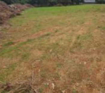 Residential Plot for Sale in Akkarai, Chennai (14400 Sq.ft.)