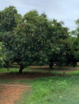 Property for sale in Tenkasi, Tirunelveli