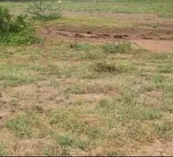 106 Acre Commercial Lands /Inst. Land for Sale in Pudukudi, Thanjavur