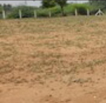 Commercial Lands /Inst. Land for Sale in Samayapuram, Tiruchirappalli (250 Acre)