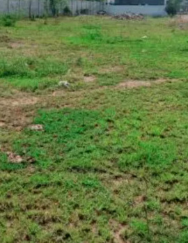 13 Acre Commercial Lands /Inst. Land for Sale in Balaji Nagar, Tiruchirappalli