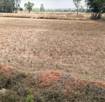 44 Acre Commercial Lands /Inst. Land for Sale in Binnamangala, Bangalore