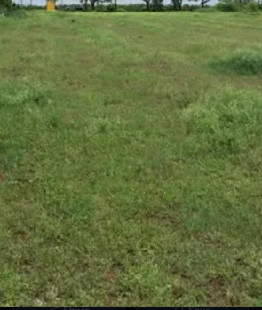 Commercial Lands /Inst. Land for Sale in Thennampalayam, Coimbatore (35 Acre)