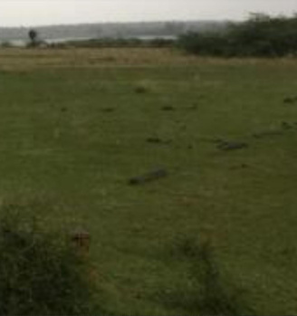 262 Acre Commercial Lands /Inst. Land for Sale in Oragadam, Chennai