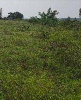 354 Sq.ft. Commercial Lands /Inst. Land for Sale in Sathya Sai Nagar, Chennai