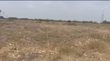 Commercial Lands /Inst. Land for Sale in Ottapidaram, Thoothukudi (325 Acre)