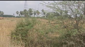 Commercial Lands /Inst. Land for Sale in Ottapidaram, Thoothukudi (110 Acre)