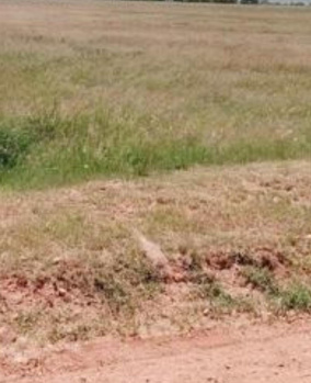 Commercial Lands /Inst. Land for Sale in Karumathampatti, Coimbatore (6 Acre)