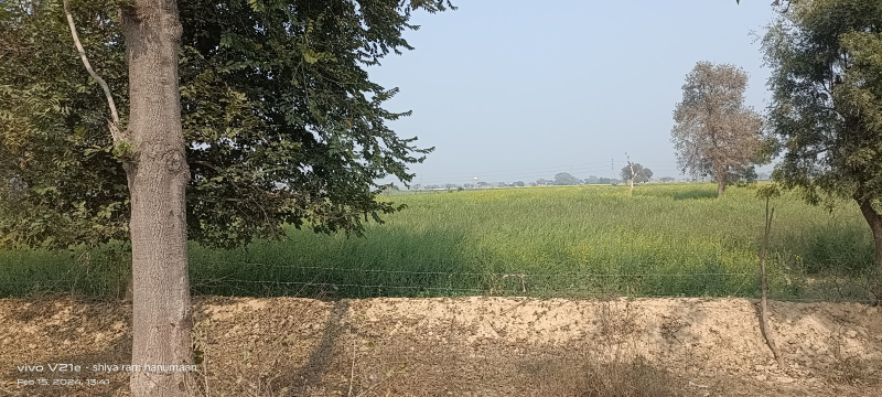 1 Bigha Agricultural/Farm Land For Sale In Fatehabad Road, Agra