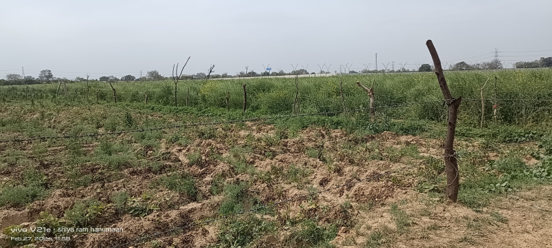 2 Bigha Agricultural/Farm Land For Sale In Fatehabad Road Fatehabad Road, Agra