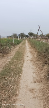 Agricultural/Farm Land for Sale in Sultanpura, Agra (3 Bigha)