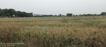 2 Bigha Agricultural/Farm Land for Sale in Kamal Vihar, Agra