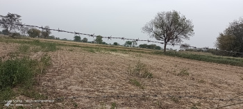 8 Bigha Agricultural/Farm Land for Sale in Fatehabad Road, Agra