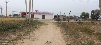3 Bigha Agricultural/Farm Land for Sale in Fatehabad Road, Agra