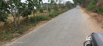 15 Biswa Agricultural/Farm Land for Sale in Fatehabad Road, Agra