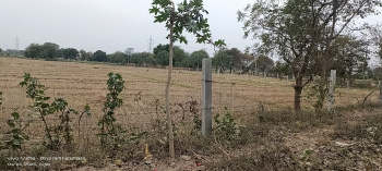 4.5 Bigha Agricultural/Farm Land for Sale in Sultanpura, Agra