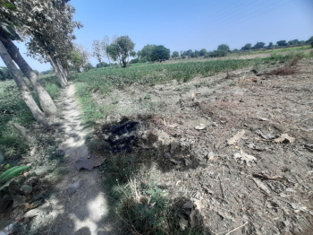 4.5 Bigha Agricultural/Farm Land for Sale in Bamrauli Road, Agra