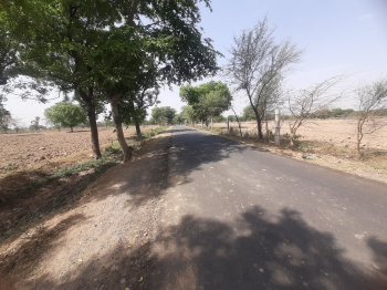 6 Bigha Agricultural/Farm Land for Sale in Bamrauli Road, Agra
