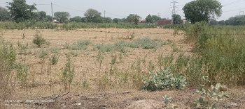 350 Sq.ft. Agricultural/Farm Land for Sale in Fatehabad Road, Agra