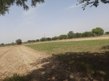 4 Bigha Agricultural/Farm Land for Sale in Nagla Sabla, Agra