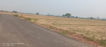 4 Bigha Agricultural/Farm Land for Sale in Fatehabad Road, Agra