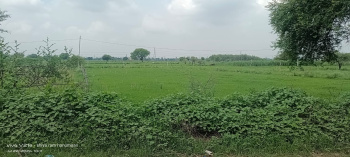 10 Bigha Agricultural/Farm Land for Sale in Fatehabad, Agra