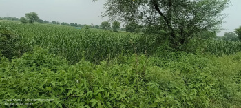 1.5 Bigha Commercial Lands /Inst. Land for Sale in Kheria, Agra