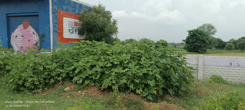 11 Bigha Residential Plot For Sale In Fatehabad Road, Agra