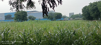Residential Plot for Sale in Fatehabad Road, Agra (2 Bigha)