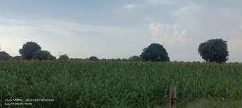 4 Bigha Residential Plot for Sale in MG Road, Agra