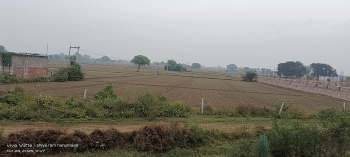 5.5 Bigha Residential Plot for Sale in Fatehabad Road, Agra