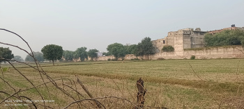 Residential Plot for Sale in Etmadpur, Agra (3 Bigha)