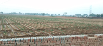 Residential Plot for Sale in Fatehabad Road, Agra (6 Bigha)