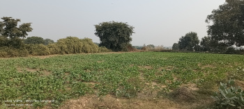 Residential Plot for Sale in Fatehabad Road, Agra (6 Bigha)
