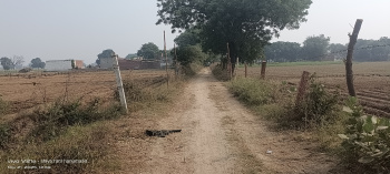 Residential Plot for Sale in Fatehabad Road, Agra (1 Bigha)