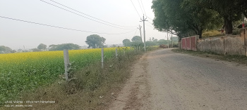 Residential Plot for Sale in Fatehabad Road, Agra (4 Bigha)