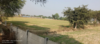 Residential Plot for Sale in Fatehabad Road, Agra (20 Bigha)