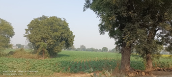 Residential Plot for Sale in Fatehabad Road, Agra (11 Bigha)