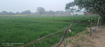 Residential Plot for Sale in Fatehabad Road, Agra (2.5 Bigha)